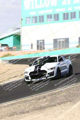 media/Oct-01-2023-VIP Trackdays (Sun) [[8c13cf1485]]/C Group/session 1 turn 4b/